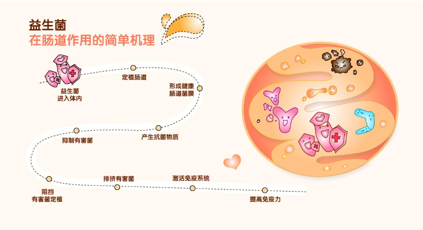 圖片 5.png