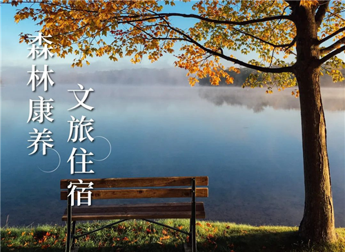 圖片 1.png
