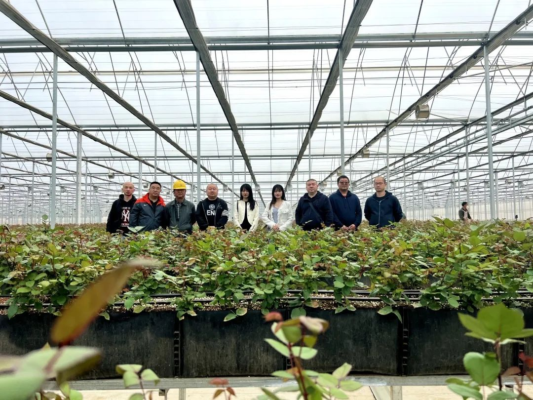 肥多多走訪云南云天化花匠鋪，“互聯網+花”開啟花卉產業新未來
