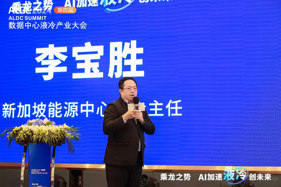 新加坡能源中心聯(lián)合主任李寶勝